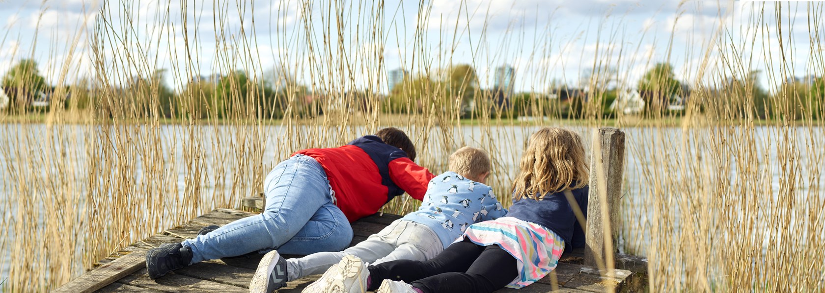 Børn med siv i Brøndby Strandpark
